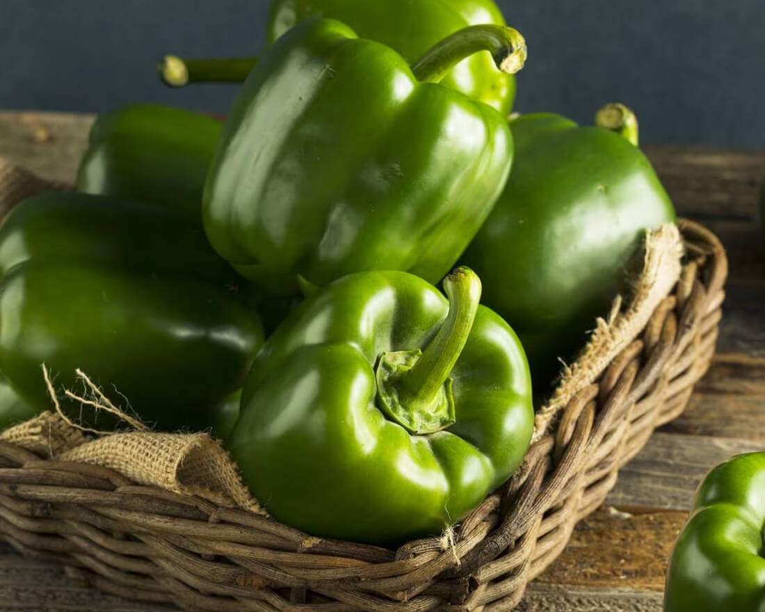 capsicum