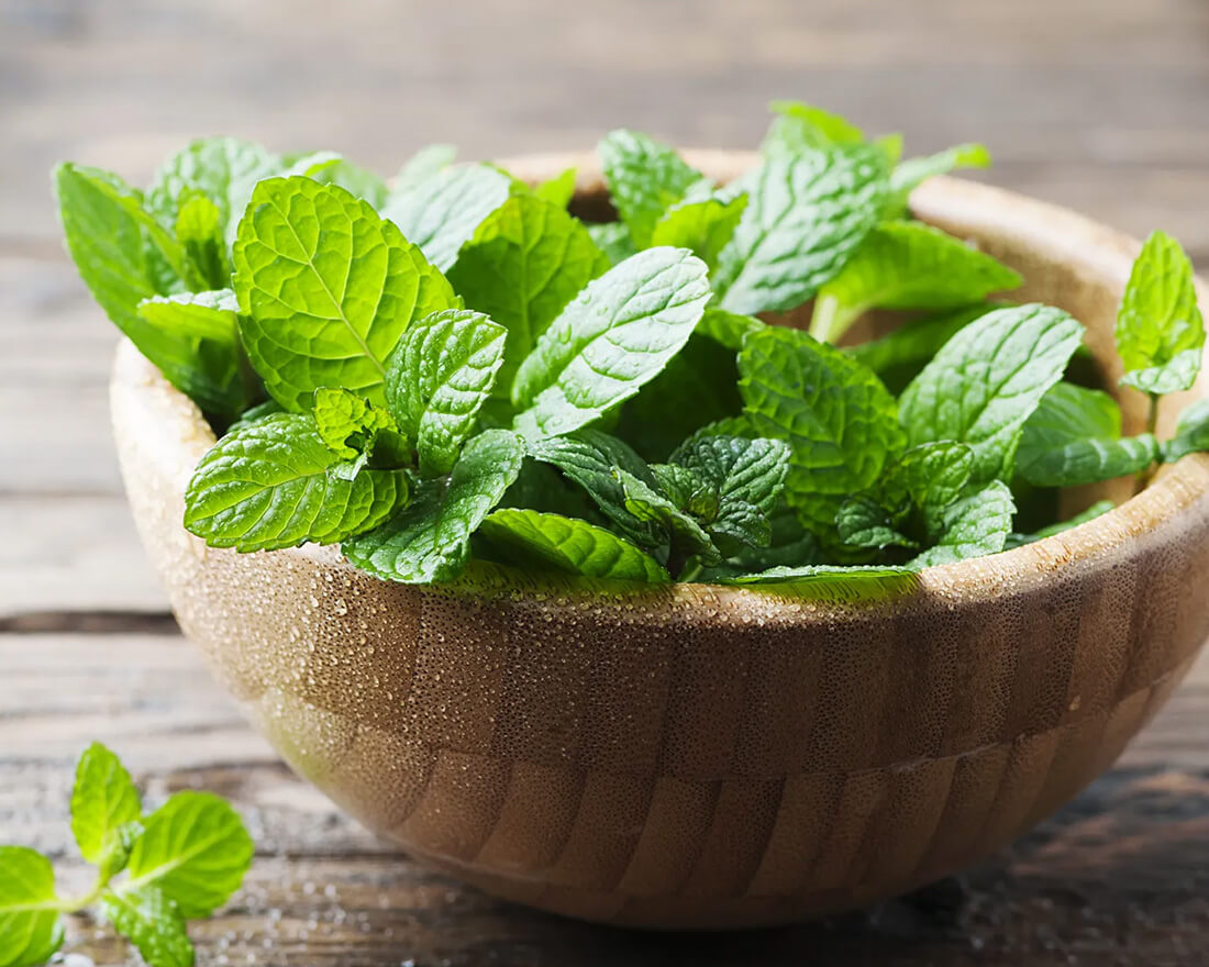 mint leaves